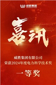 喜讯 | 威胜集团荣获 2024 年度电力科学手艺一等奖